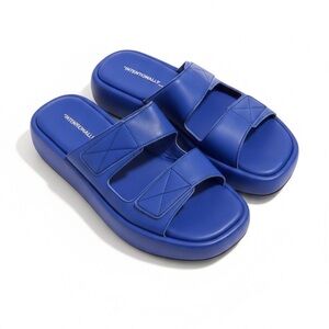 Intentionally Blank Cobalt Ultramarine Blue Slides size 41 *NWOT*